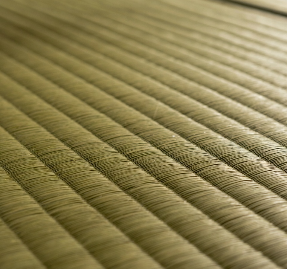 Close-up of igusa tatami texture
